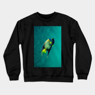 Mr Multicoloured Crewneck Sweatshirt